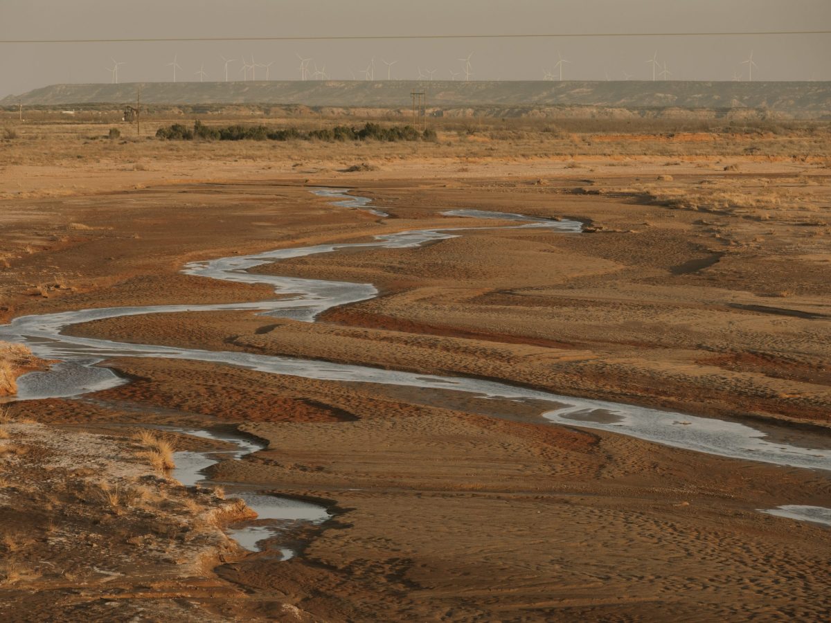 ¿El trabajo remoto podría ser beneficioso para combatir el cambio climático?