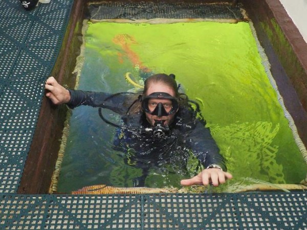 Investigador de Florida vivirá 100 días bajo el agua