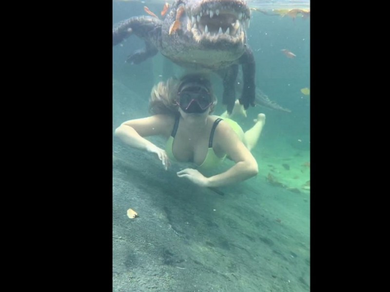 Mujer se viraliza en las redes por nadar junto a un caimán en un santuario de Florida