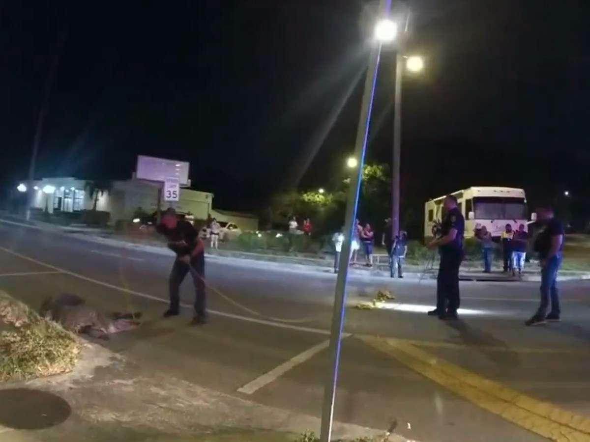 Policía “detuvo” a un caimán por caos en una zona comercial de Tampa