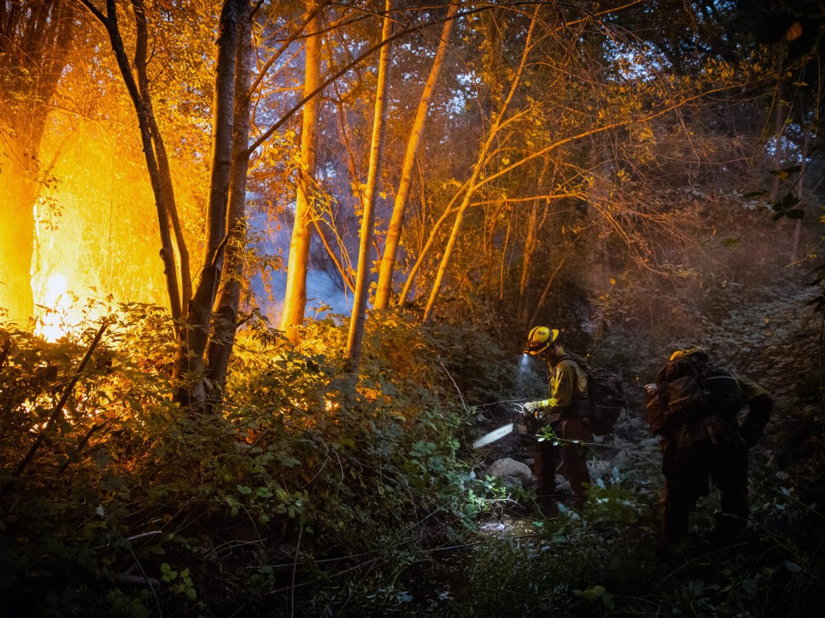 Evacuaciones de emergencia en Texas por propagación de un incendio forestal