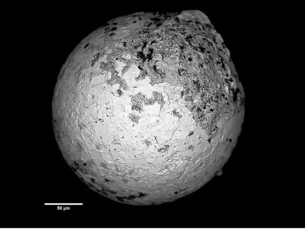 Meteorito extrasolar y las teorías de quien lo descubrió