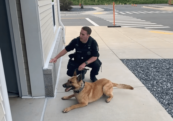 Policía y perro oficial